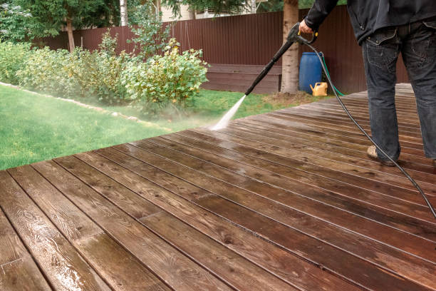 Best Roof Washing  in Pine Island, MN